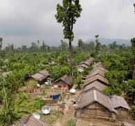 Camp